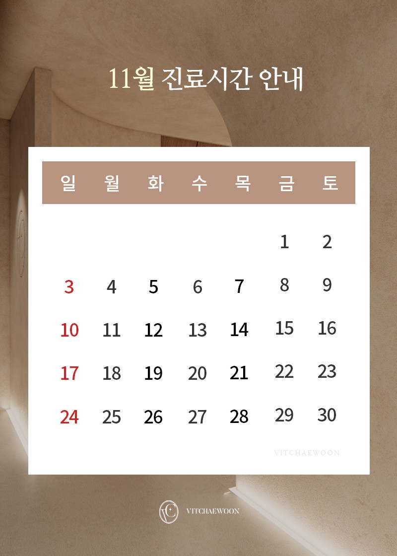 11월 진료안내